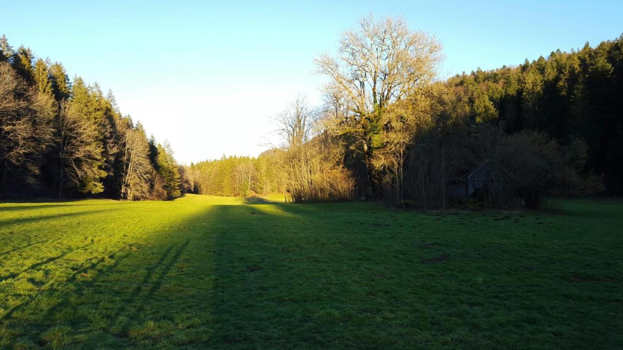 Aux Truites Bleues Fort-du-Plasne Exterior foto